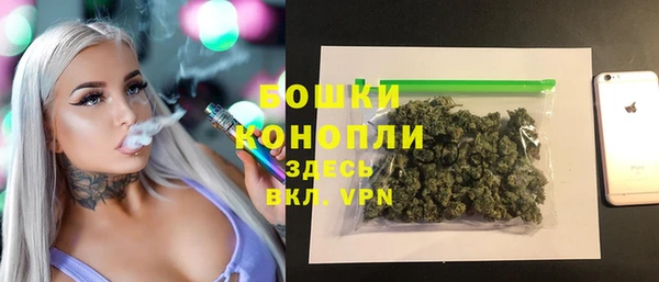 гашик Анжеро-Судженск