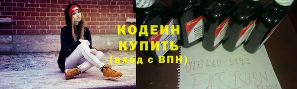 гашик Анжеро-Судженск