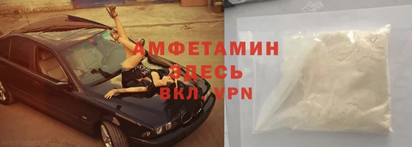 гашик Анжеро-Судженск