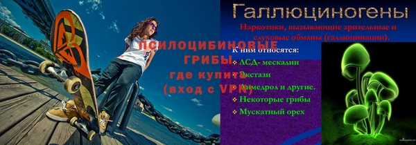 гашик Анжеро-Судженск