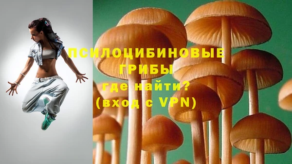 гашик Анжеро-Судженск