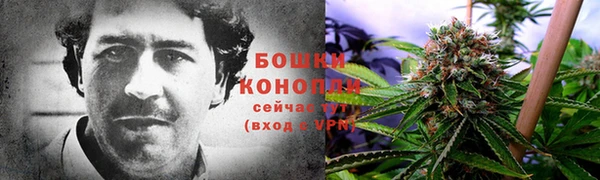 гашик Анжеро-Судженск