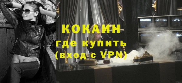 гашик Анжеро-Судженск